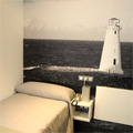Hotel Curious