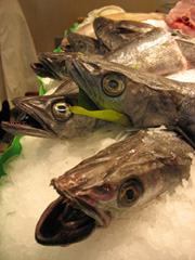 Märkte in Barcelona - Fisch und Fleisch